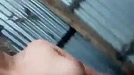 village girl showing white boobs for lover