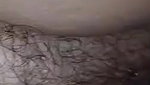 BBW bhabhi blowjob and fucking devar MMS
