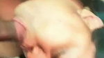 Kruthika Deepthroat BJ Latest
