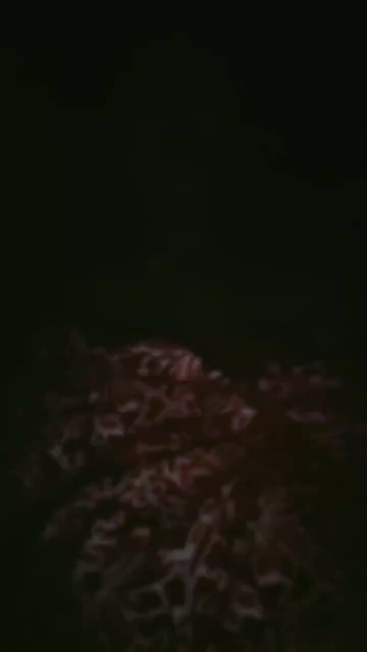 Frame 10