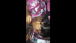 Tamil Housewife Sucking  Fucking With Husband
