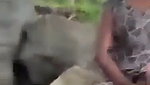 tamil Young village girl outdoor virgin pussy fingering capture
