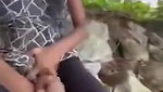tamil Young village girl outdoor virgin pussy fingering capture