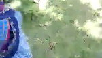 Tribal Desi wife fucked outdoors