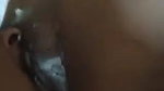 naughty hubby licking pussy of wife