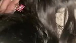 Sexy Pakistani girl sucking and fucking