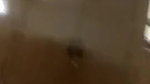 Extremely sexy big boobs bitch riding hard