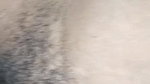 fucking Indian village woman on cam