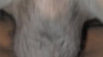 fucking Indian village woman on cam