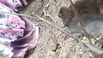 Desi Bhabhi outdoor fucking MMS
