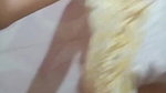 CUTE SEXY YOUNG SLIM BENGALI GF SHOWING BOOBS ASSHOLE HAIRY PUSSY TO LOVER