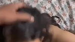 Horny Indian Babe Giving Blowjob Pussy Fingered By Boyfriend