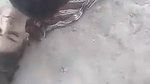 pashto girl girl fucked in open in front of another guy