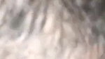 Newly married Assam girl s pussy drilled hard by husband 11
