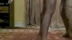 chubby girl fucked