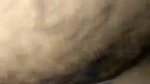 hot girl fucked