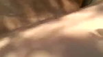 naughty guy makes video of boobs and pussy in jungle