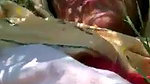 naughty guy makes video of boobs and pussy in jungle