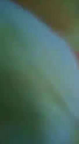 hot nude sex of Desi couple on cam