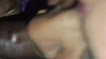 CHUBBY TAMIL AUNTY GIVING BLOWJOB BOOBJOB