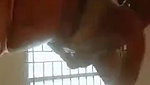 cute Indian girl blowjob and boobs fucking