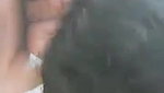 cute Indian girl blowjob and boobs fucking
