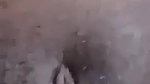 Desi girl playing with boobs and fingering pussy