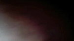 Bilkis id 91214225