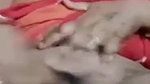 Unsatisfied village Bhabhi fingering her hairy pussy on video call