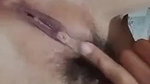 Assamese village girl showing and fingering pussy