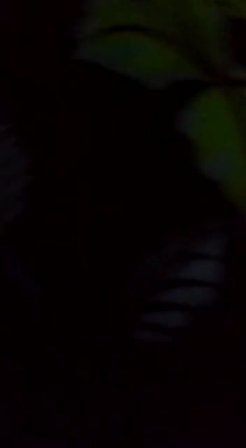 Frame 10
