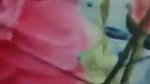Beautiful Desi Bhabhi having sex with lover