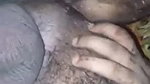 Bangladeshi wife doing Rimjob for first time