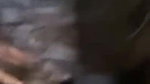 Indian Couple Blowjob Hard Fucking