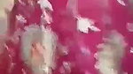 Innocent Girl Nude Captured By Boyfriend