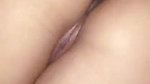 ass and pussy