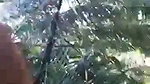 khule mein kri lund ki sawari