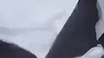 hijabi girl fucked