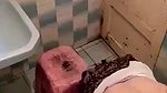 muslim girl fucking in public toilet