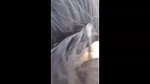 fucking Gf in oyo