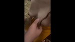 horny Girl riding my dick