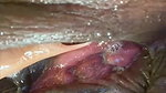 Hot model pussy fingering