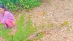 Indian girl Caught In A jungle