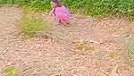 Indian girl Caught In A jungle