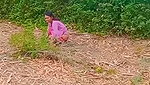 Indian girl Caught In A jungle