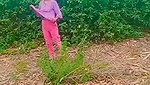 Indian girl Caught In A jungle