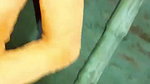 Dehati lovers blowjob sex MMS
