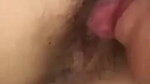 Licking pussy
