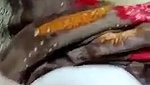 beautiful Pakistani wife fingering pussy