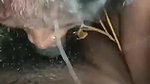 newly married Tamil couple blowjob sex under blanket